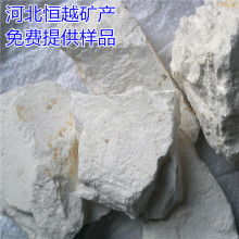 首页 灵寿县佳利矿产加工厂 市场部 主营 云母 蛭石 海泡石